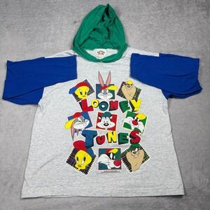 Sun Sportswear Looney Tunes Hoodie Mens Medium Gray Colorblock Vintage 1994 90s